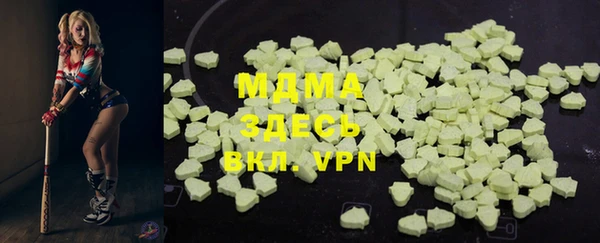 PSILOCYBIN Горняк