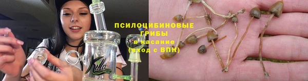 дживик Горнозаводск