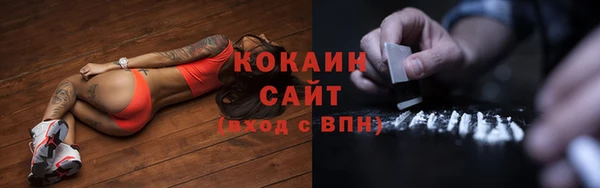 PSILOCYBIN Горняк