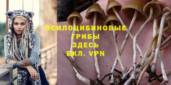 spice Горно-Алтайск