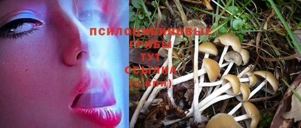 дживик Горнозаводск