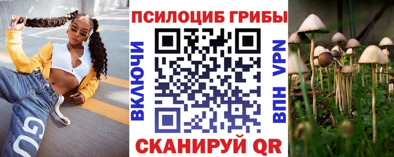 где найти наркотики гидра ТОР Галлюциногенные грибы Magic Shrooms Демидов